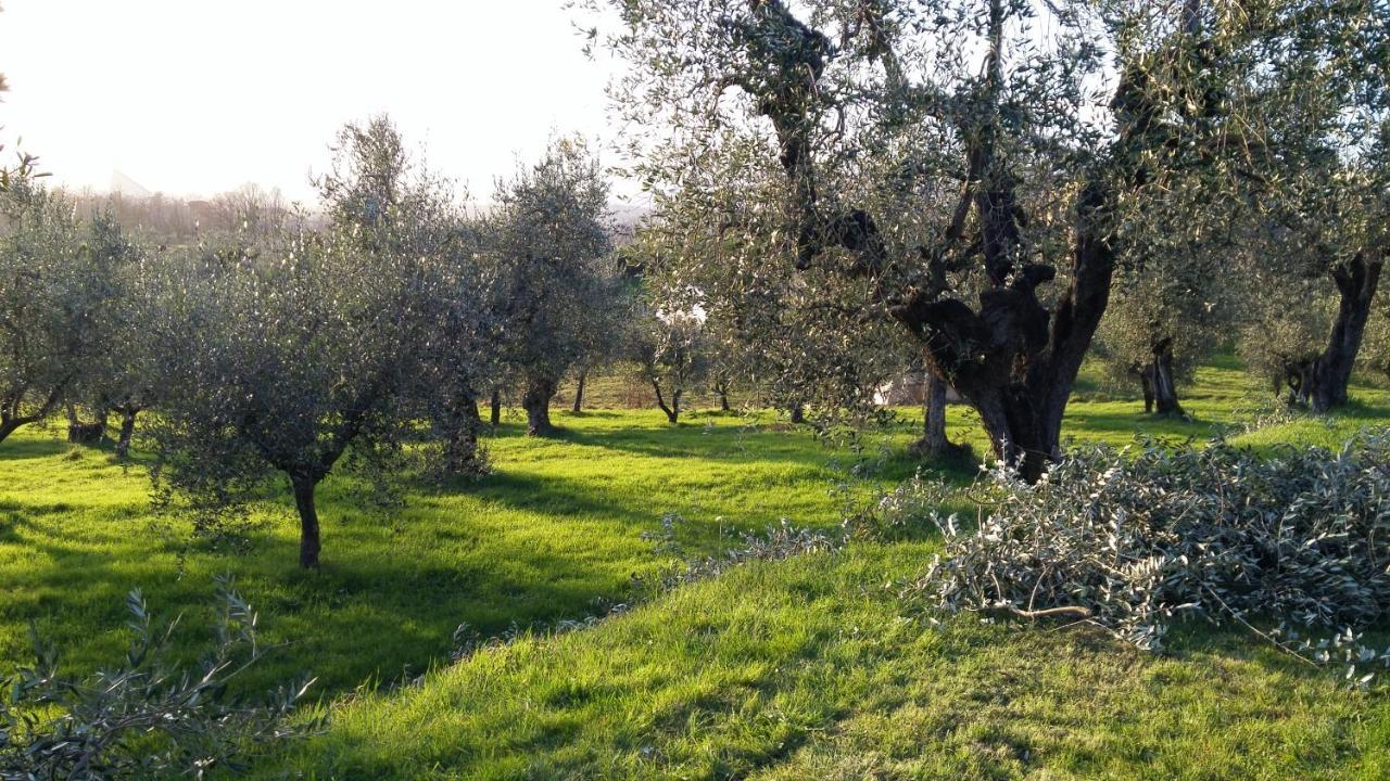 Casa "Il Brio" Villa Pistoia Luaran gambar